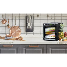 Sedona Express Food Dehydrator Benchtop