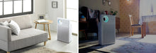 Coway 1018F Classic Air Purifier