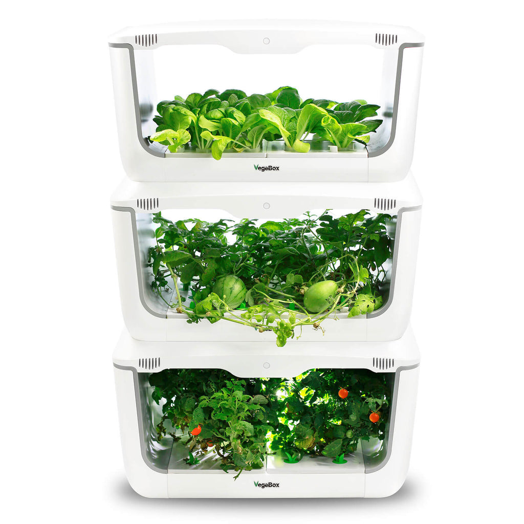 VegeBox Home Indoor Hydroponic Garden