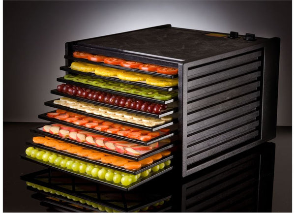 Why You Should Use A Food Dehydrator at Home