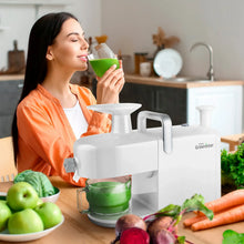 Greenstar 5 All-Stainless Steel Twin Gear Cold Press Masticating Juicer