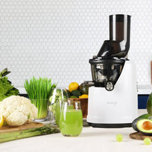 Kuvings C8000S Cold Press Juicer