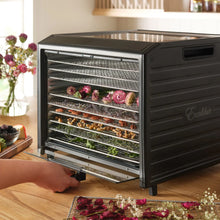 Excalibur DH10SS PERFORMANCE Digital - 10 Tray Dehydrator Stainless Steel