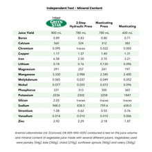 Greenstar 5 All-Stainless Steel Twin Gear Cold Press Masticating Juicer