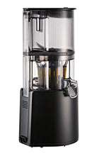 Hurom Juicer - H300E Cold Press Juicer